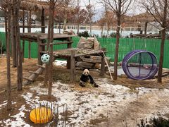 -西霞口神雕山野生动物世界