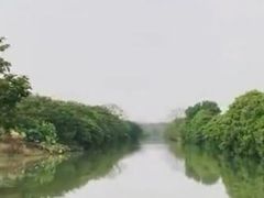 -大湾区中央湿地公园