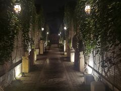 -宛平九号