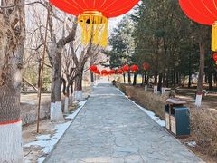 -抱犊寨风景区