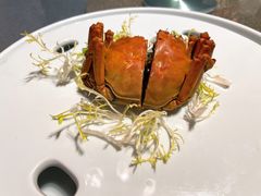 -碧丽宫大酒店(召稼楼店)
