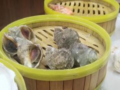 -渡海小渔村.老辈日照菜