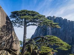 -黄山风景区