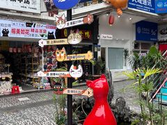 -猫咪博物馆(顶澳仔猫街店)