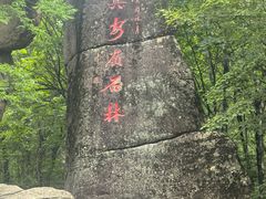 -汤旺河林海奇石景区