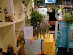 -Kitchen·Y洋厨房西餐厅(王府壹号店)