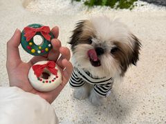 -帕帕拉兹宠物(亚洲旗舰店)