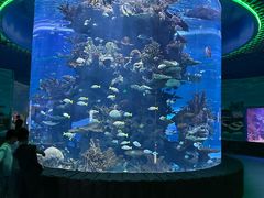 -多彩贵州城极地海洋世界