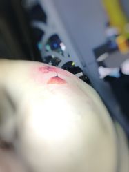 -飛凡TATTOO纹身•原创