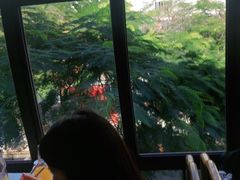 -野妹火锅(龙岗店)