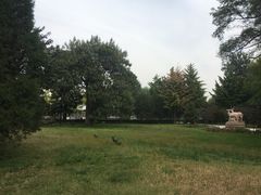-北京麋鹿生态实验中心