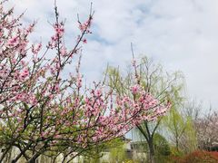 -相门城墙文化休闲景区