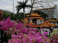 -深圳仙湖植物园