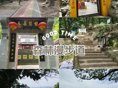 -惠山国家森林公园
