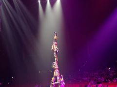 -珠海横琴长隆《卡卡虎奇遇记》