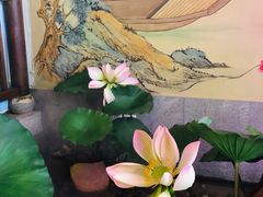 -韵秋荷(宝山龙湖天街店)