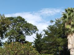 -厦门艾美酒店·新食谱西餐厅