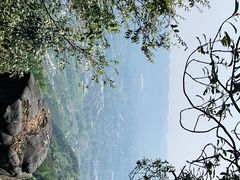 -缙云山景区