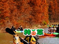 -上海海湾国家森林公园