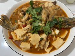 -煲来饱去冷水鱼