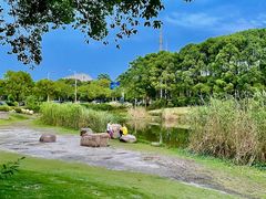 -美兰湖景区