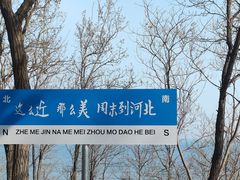 -老龙头景区