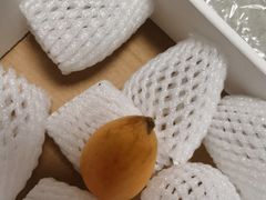 -诚实果品批发行(三星路店)