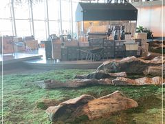 -Seesaw Coffee(朝阳大悦城店)