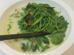汤桑叶苗-五谷芳乳鸽王(梅沙老店)