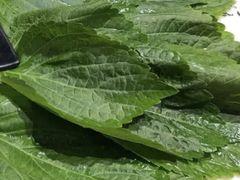 苏子叶-鹤之乡·齐齐哈尔烤肉·非遗(秋涛路店)