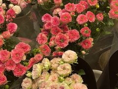 -双季花艺园艺市场(浦东店)