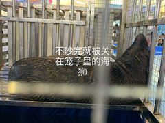 -卓锦曼购中心(国香街店)