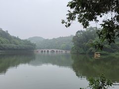 -李小龙乐园(顺德均安店)