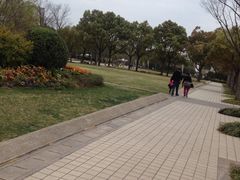 -新江湾城公园