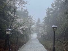 -天姥山