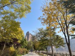 -炳灵寺世界文化遗产旅游区