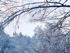-龙苍沟森林公园