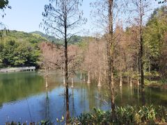 -广州市白云山风景名胜区