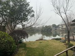 -新荣记(西溪湿地店)