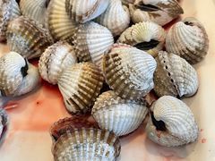 -华盛丰温州大排档(东三环南路店)