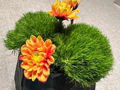 -南堂馆·新川菜(春熙路店)