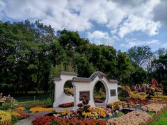 -上海共青森林公园