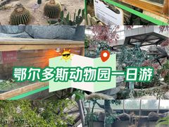 -鄂尔多斯野生动物园