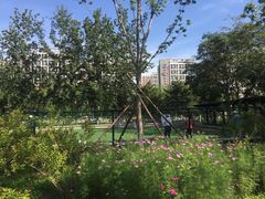 -回龙观体育文化公园