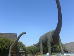 -安徽省地质博物馆