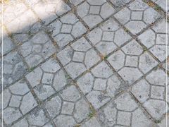 -添福来墨鱼饺子 · 海鲜东北菜(大连星海·黄浦路店)