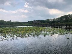 -溱湖国家湿地公园