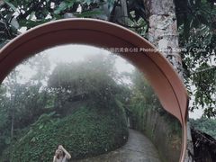 -海南槟榔谷黎苗文化旅游区