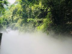 -川西竹海景区
