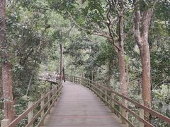 -野象谷景区